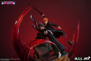 HEX Ichigo Kurosaki